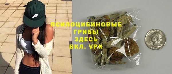 сатива Арсеньев