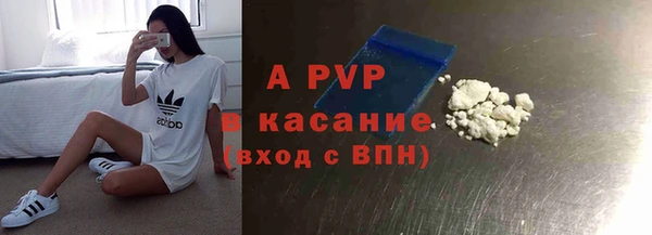сатива Арсеньев