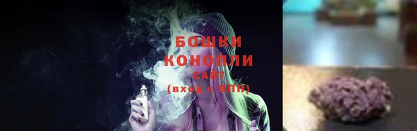 PSILOCYBIN Армянск