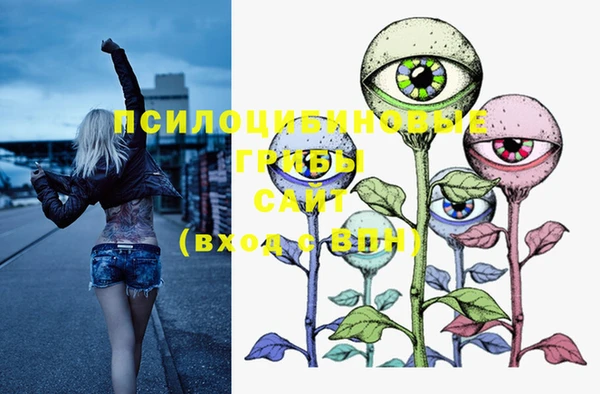 PSILOCYBIN Армянск