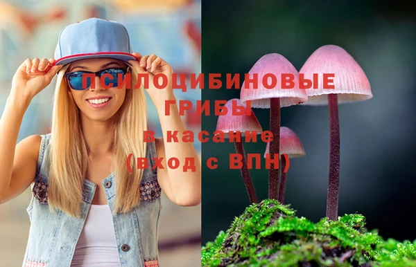 PSILOCYBIN Армянск