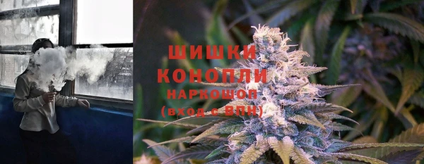 PSILOCYBIN Армянск