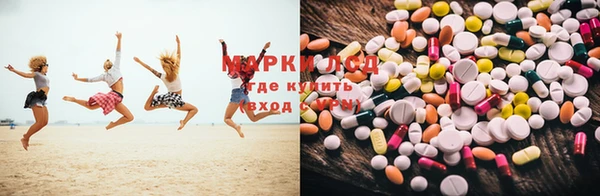 PSILOCYBIN Армянск