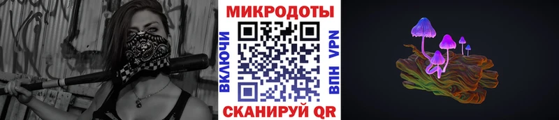 KRAKEN зеркало  закладка  Порхов  Псилоцибиновые грибы Psilocybe 