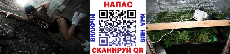 МЕГА ссылка где найти наркотики Порхов Каннабис MAZAR